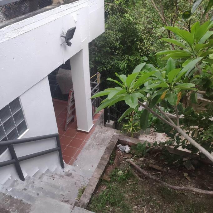 Kk Jungle Hideaway Lovely Apartment 5 Mins Walk To Town Кота Кинабалу Екстериор снимка